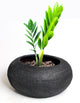 Stone textured clay planter for indoor plants