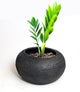Stone textured clay planter for indoor plants